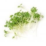 Σετ Microgreens