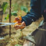 Ψαλίδι Fiskars Universal, 21 cm 1075031