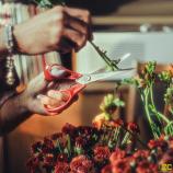 Ψαλίδι γενικής χρήσης για αριστερόχειρες, 21 cm 1075035