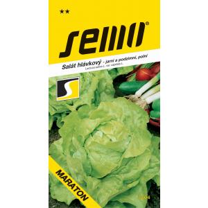 Σπόρος Ανοιξιάτικο μαρούλι Μαραθώνιος αγρός φθινόπωρο 0,6 g