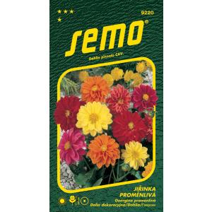 Σπόρος Georgina Variable Compact Low Mix 1g