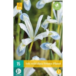 Iris Iris Κατεψυγμένος Πλανήτης 'C'