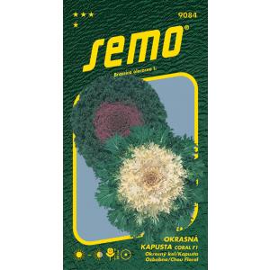 Σπόρος Καλλωπιστικό Kale Coral F1 mix 20s