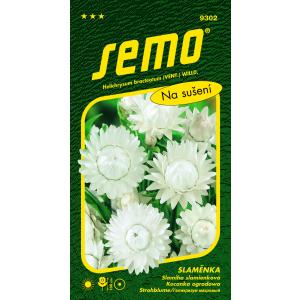 Semo Strawflower λευκό 0,4g