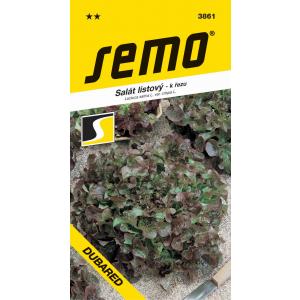 Σπόροι μαρούλι Dubared 0,6g