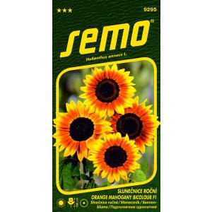 Σπόροι ηλίανθου Πορτοκαλί Μαόνι Διχρωμία F1 8s