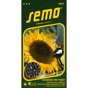 Σπόρος Ηλίανθος ετήσιος Ηλίανθος για πουλιά 2g