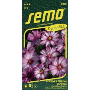 Semo Daisy λευκό ροζ Capriola 20s