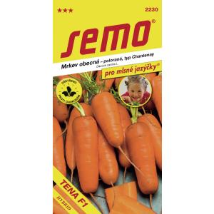 Σπόροι καρότου Carrot Tena F1 semi-late 1,3g