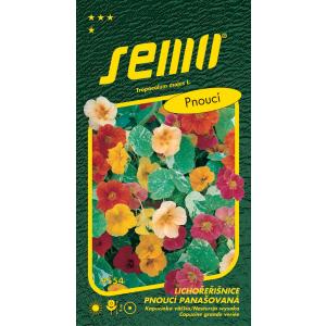 Semo Capuchinella μεγαλύτερο από την Αφρική 2g