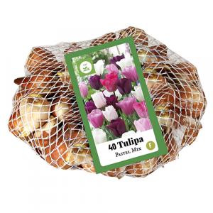 Tulip Pastel Mix 40 βολβοί