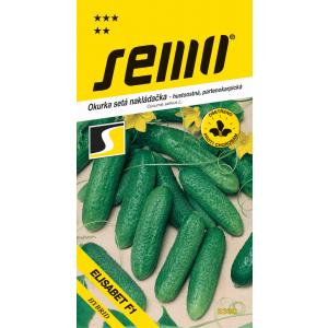 Σπόρος Αγγούρι Elisabet F1 παρθενοκαρπικό, πυκνό 1,5 g