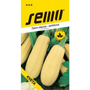 Σπόρος κολοκύθας θάμνος Λουλούδι 3g