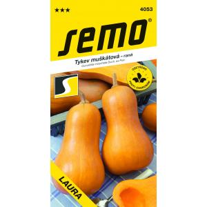 Σπόροι κολοκύθας Laura τύπου Butternut 2g