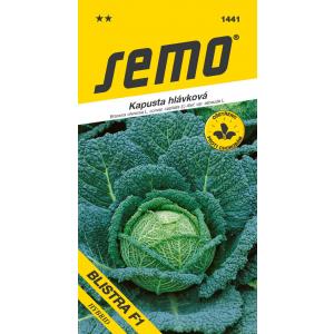 Σπόροι Kale Blistra F1 late 35s