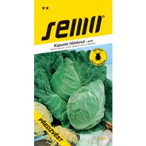 Σπόροι Kale early early 1g