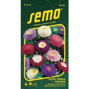 Μίγμα σπόρων Astra china Pompon 0,5g