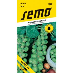 Σπόροι Kale Lunet F1 35s