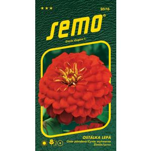 Σπόροι Cherry Queen red 0,7 g