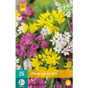 Σκόρδο Allium Species mix 'B'