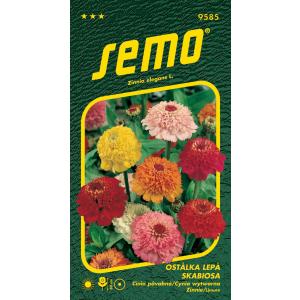 Σπόροι Σπόρος SkaBiosa 0,6g