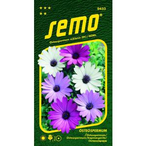 Μίγμα Semo Osteospermum Balade 0,30g