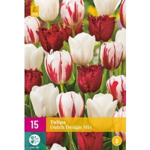 Tulip Dutch Design Mix 'D'