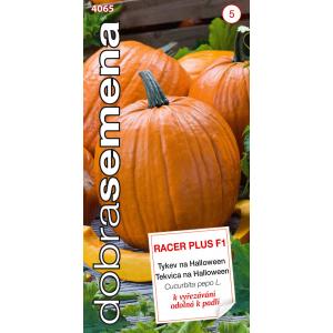 Καλή σπόροι Κολοκύθα Racer Plus F1 PMT αποκριές 7s