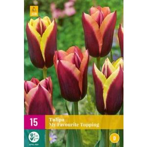 Tulip My Favourite Topping "E"