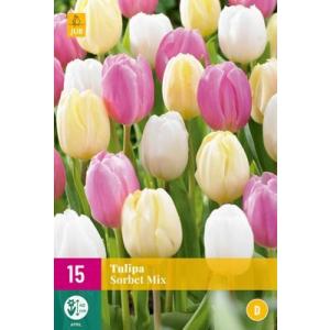 Σορμπέ Tulip Mix 'D'
