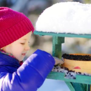 Πώς να φτιάξετε έναν τροφοδότη πουλιών και ποιος τύπος είναι ο καταλληλότερος