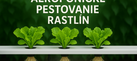 Αεροπονική καλλιέργεια