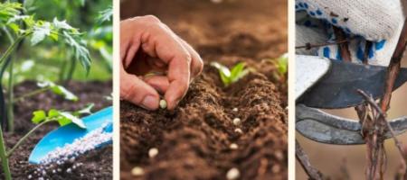 Πρακτικό ηλεκτρονικό βιβλίο: 5 συμβουλές για την άνοιξη για ένα εύκολο ξεκίνημα της σεζόν + μπόνους